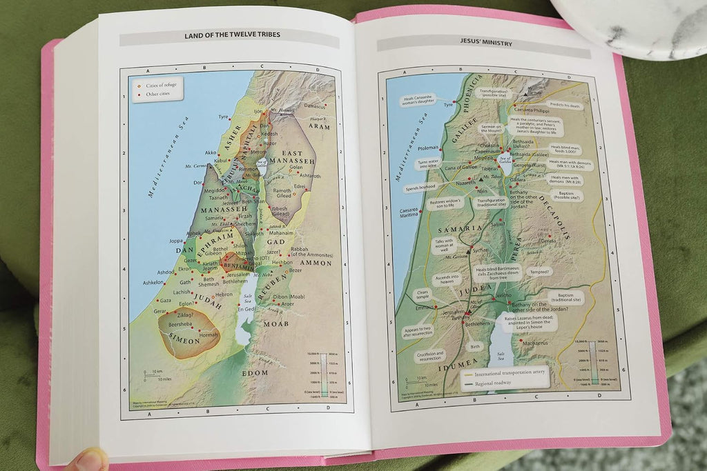 NIV Pink Gift & Award Bible – Red Letter Edition