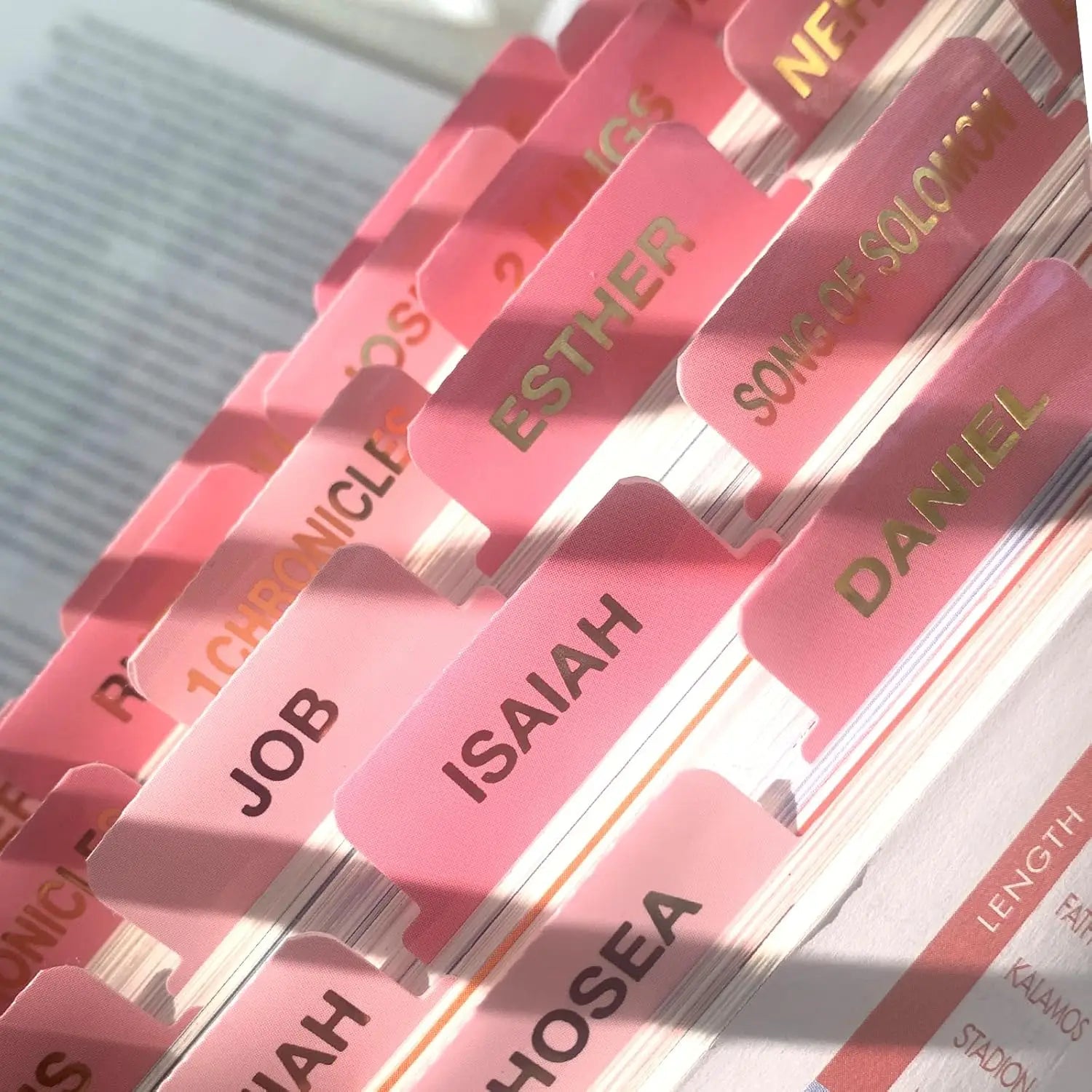 Pink Bible Tabs – Large Font