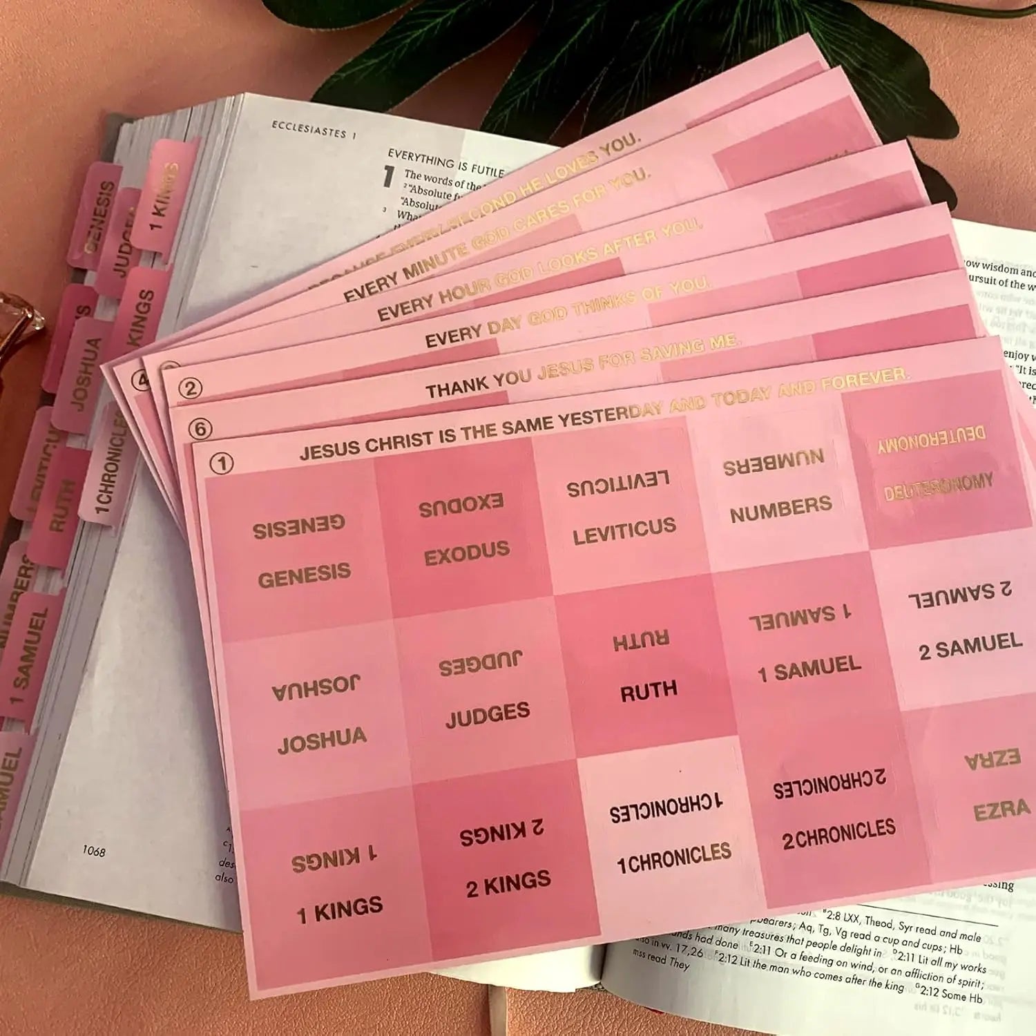 Pink Bible Tabs – Large Font