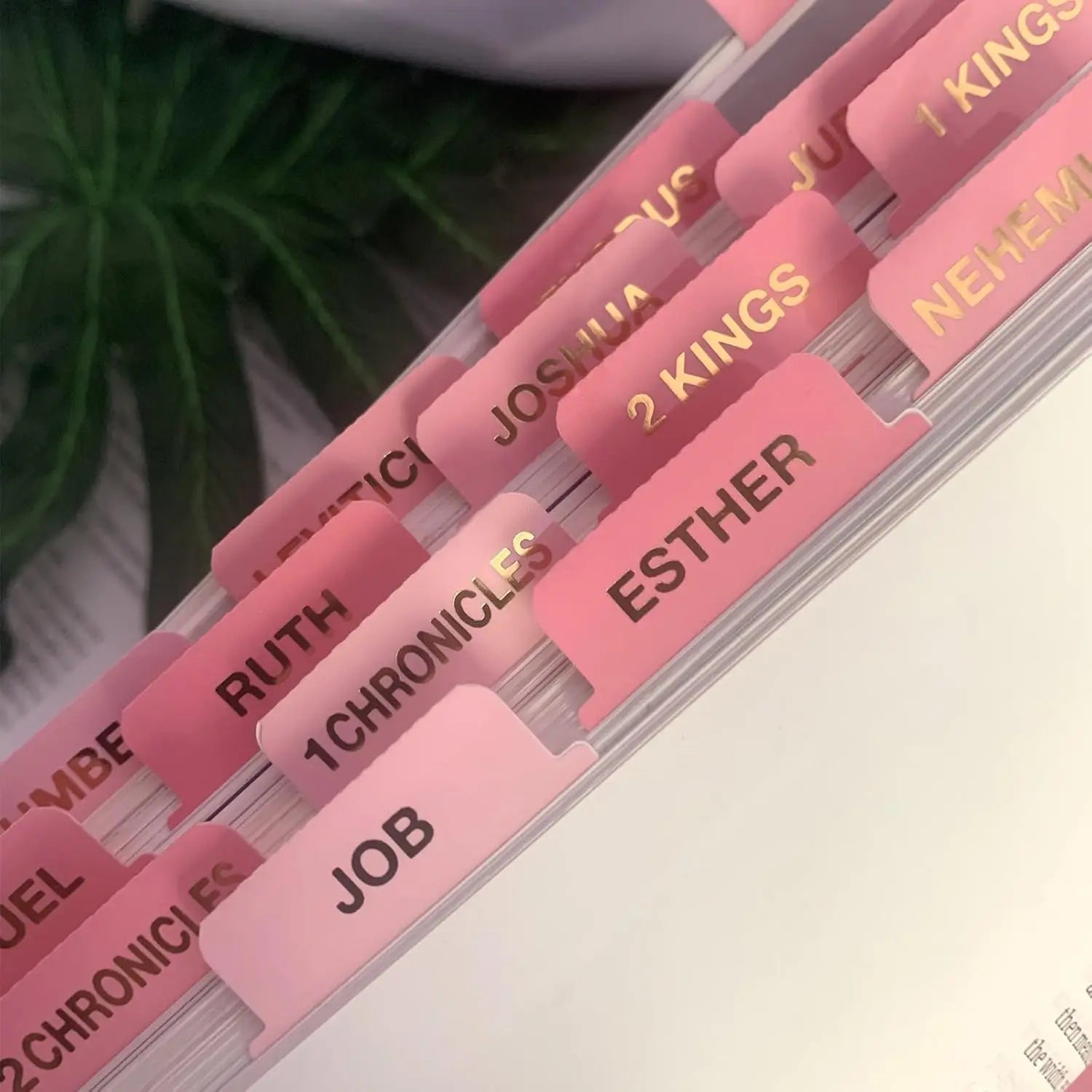 Pink Bible Tabs – Large Font